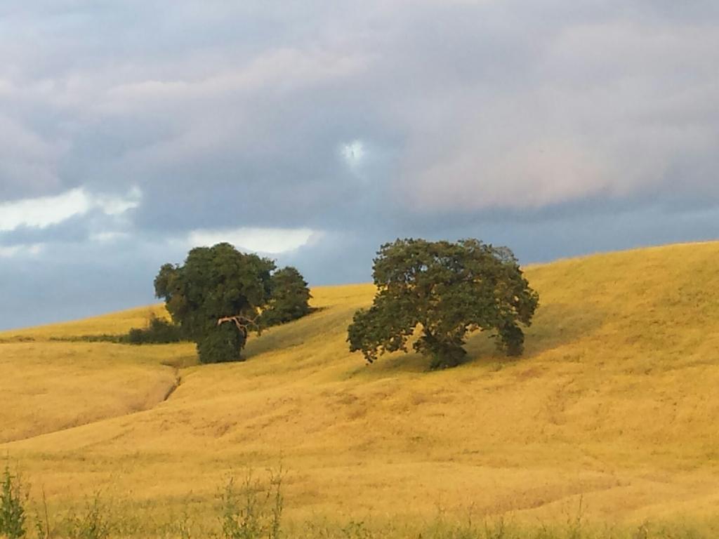Agriturismo San Pierino 몬테로니다르비아 외부 사진