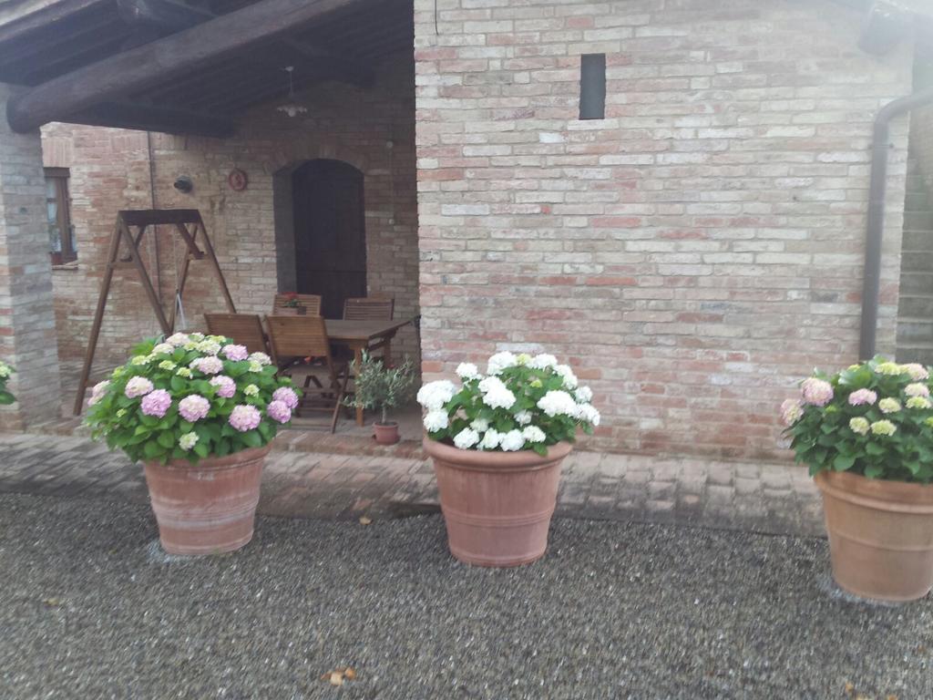 Agriturismo San Pierino 몬테로니다르비아 외부 사진