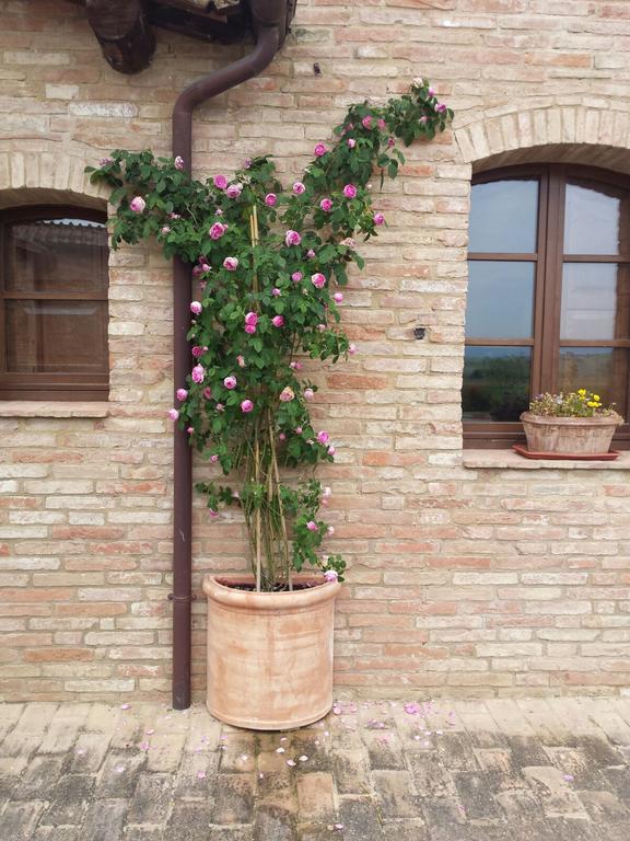 Agriturismo San Pierino 몬테로니다르비아 외부 사진